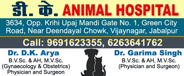 . Animal Hospital Jabalpur, Jabalpur Helpline