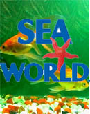 Sea World Aquarium Shoppe Jabalpur