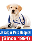 Jabalpur Pets Hospital Jabalpur