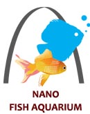 Nano Fish Aquarium Jabalpur