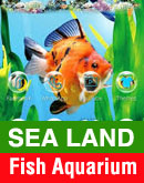 Sea Land Fish Aquarium Jabalpur