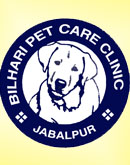 Bilhari Pet Care Clinic Jabalpur