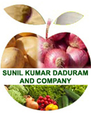 Sunil Kumar Daduram and Company Jabalpur