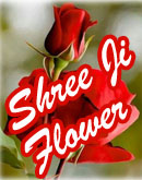 Shree Ji Flower Jabalpur