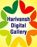 Harivansh Digital Gallery And Service Provider Jabalpur